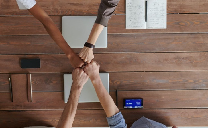A união faz a força. Foto: Pexels.