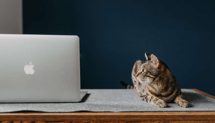 Não fique aí parado, concorra a um MacBook. Foto: Pexels.