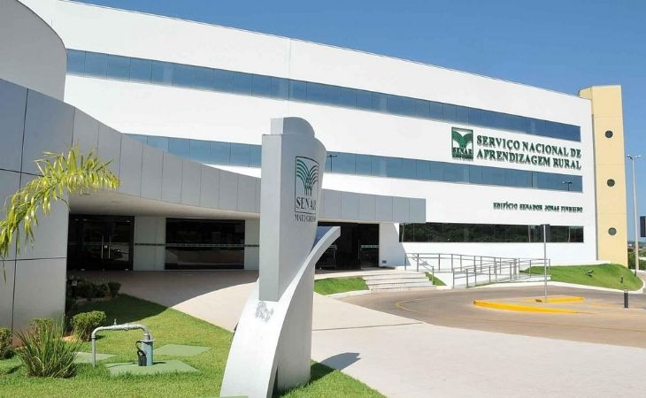 Dentre as funcionalidades da aplicação, está a busca e leitura do conteúdo por voz. Foto: divulgação