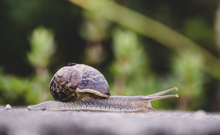 Migrações para a nuvem nem sempre são rápidas. Foto: Pexels.