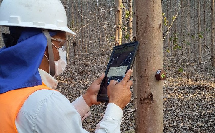 Funcionário da Veracel confere dados de crescimento da plantação. Foto: Veracel.