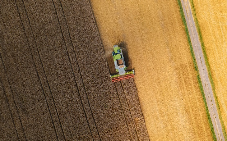 Mato Grosso é um dos pólos do agro brasileiro. Foto: Pexels.