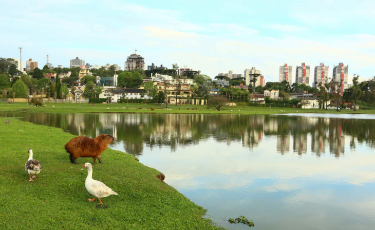Parque Barigui foi um dos lugares escolhidos para receber as primeiras antenas 5G. Foto: Monique Renne