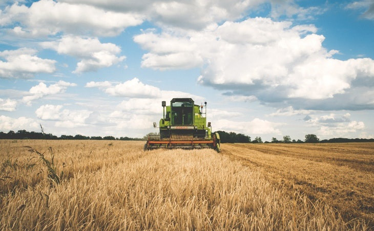 AgroGalaxy é uma gigante no agronegócio. Foto: Pexels.