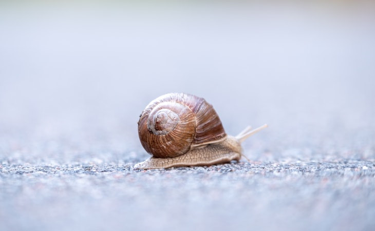 Clientes da SAP tem o seu próprio ritmo. Foto: Pexels.