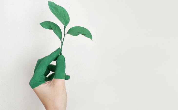 A empresa estreou ano passado na B3 (Foto: Pexels/Alena Koval)