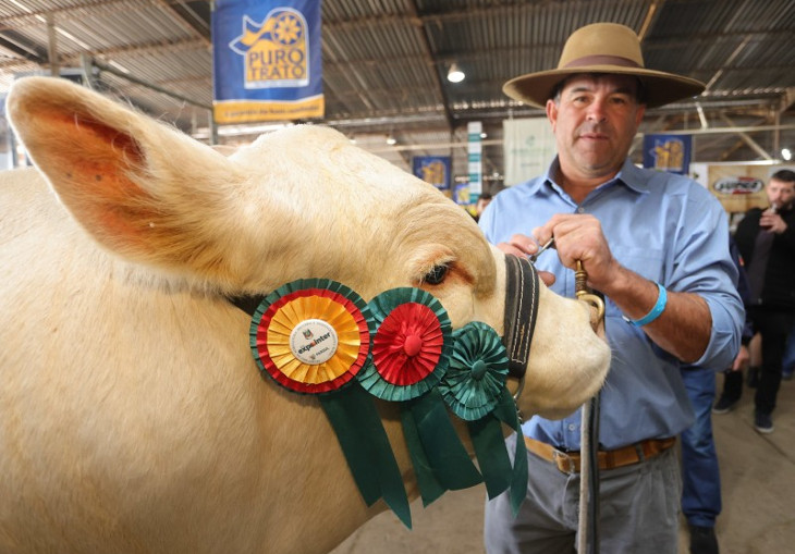 Nem tudo são vacas premiadas na Expointer. Foto: Itamar Aguiar / Palácio Piratini