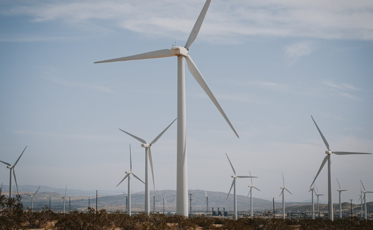 A 2W é especializada em projetos de geração própria de energia em parques solares e eólicos (Foto: Pexels/Kindel Media)
