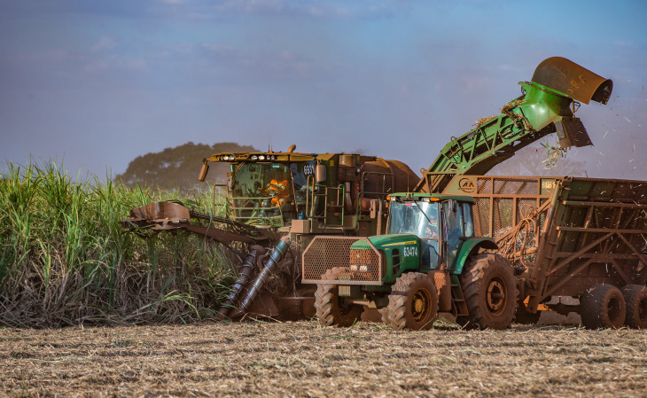 A BP Bunge é responsável pela gestão de 360 mil hectares de terras dedicadas à produção de cana-de-açúcar. Foto: Divulgação