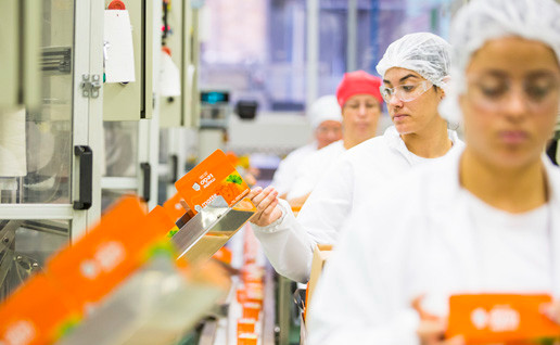 Cerca de 98% do público da Leão já está dentro da plataforma. Foto: Divulgação/Leão Alimentos e Bebidas