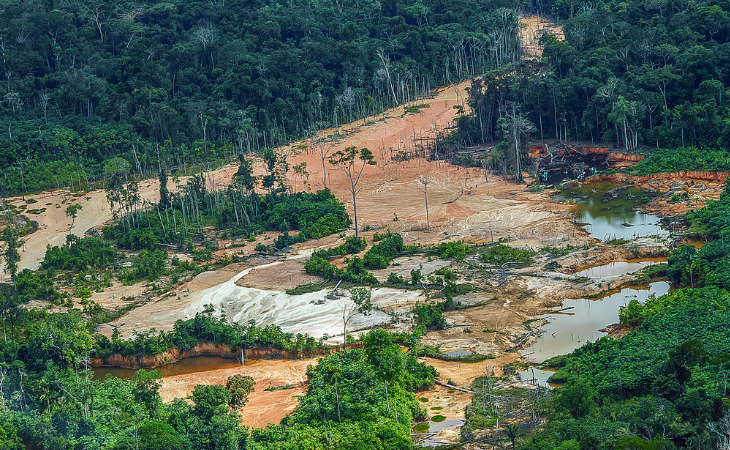 Surucucu, em Roraima (Foto:Leo Otero/MPI)
