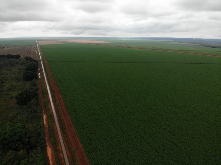 Projeto pode ser expandido para outras áreas produtivas da empresa (Foto: Divulgação)
