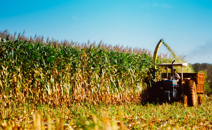 Agrosatélite constrói plataformas de softwares e sistemas de informação geográfica (Foto: Depositphotos)