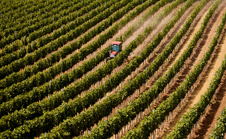 Grupo Progresso atua no setor do agronegócio e, atualmente, possui oito unidades produtivas (Foto: Depositphotos)