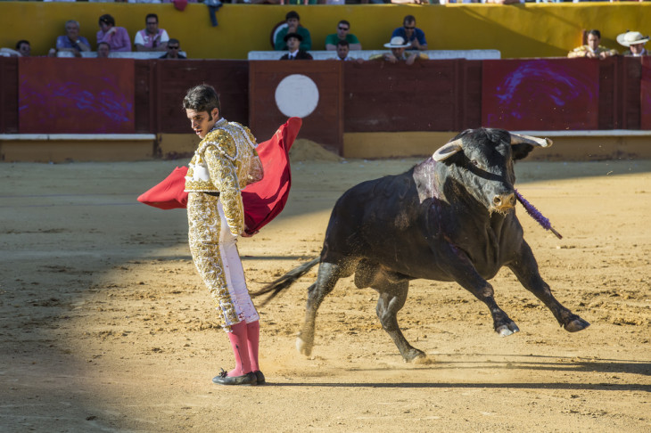 Essa foi perto, hein? Foto: Depositphotos.