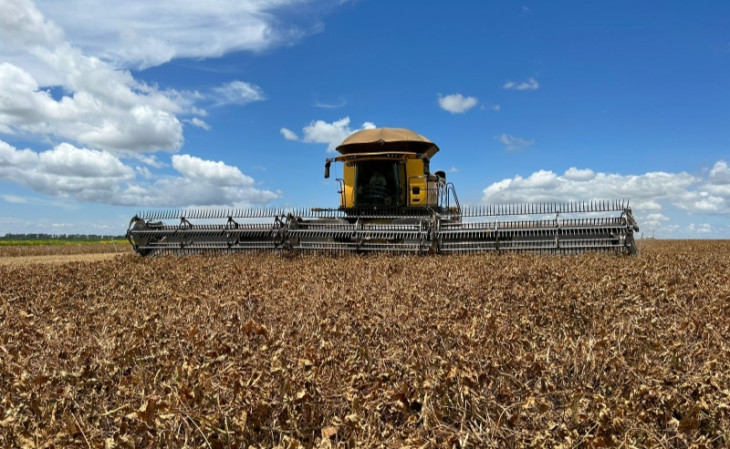A Agro Norte desenvolve e comercializa novas cultivares, tecnologias e sistemas de produção. Foto: Divulgação