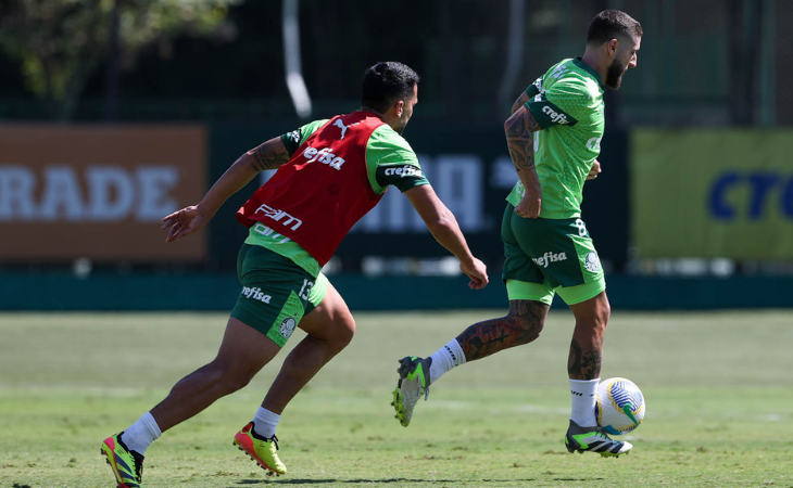 Verdão adotou a Adobe Experience Cloud (Foto: Divulgação/Palmeiras)