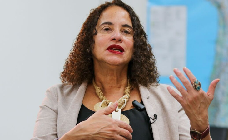 Luciana Santos (Foto: Agência Brasil)