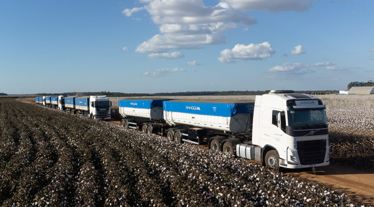 Amaggi é uma potência do agro brasileiro. Foto: Divulgação.