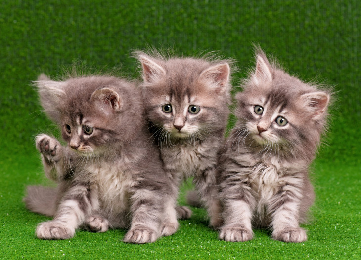 Foto: Depositphotos