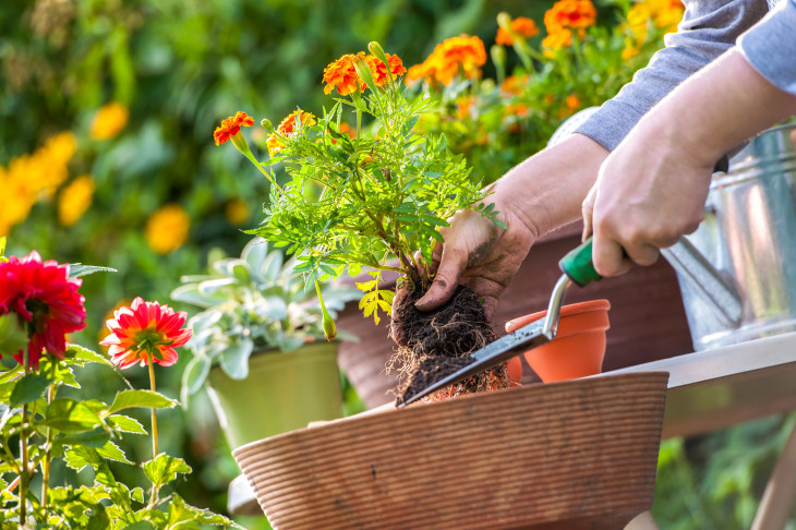 Foto: Depositphotos