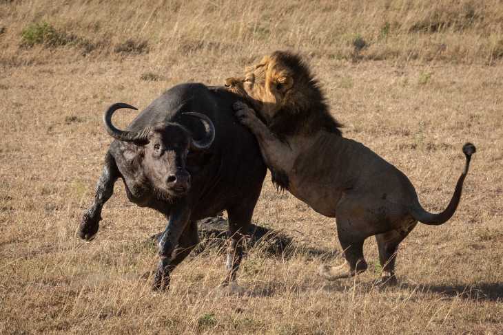 Foto: Depositphotos