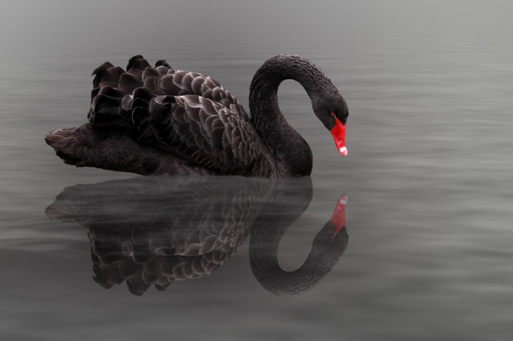 Foto: Depositphotos