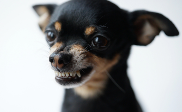 Foto: Depositphotos