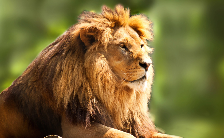Foto: Depositphotos