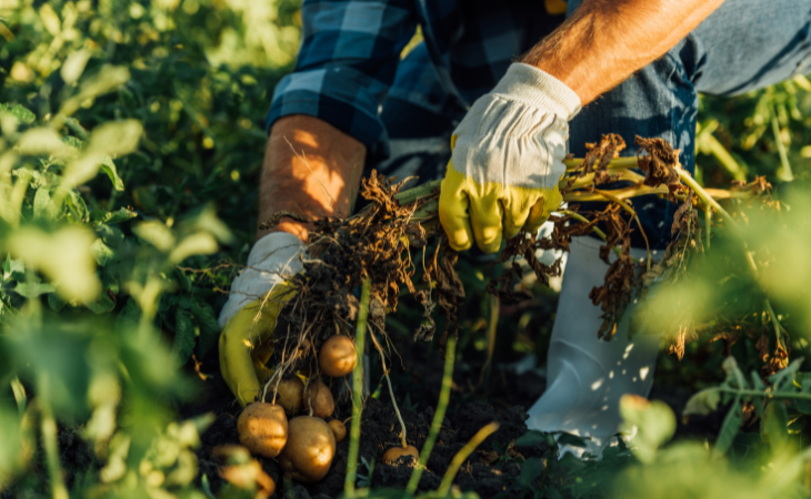 Foto: Depositphotos
