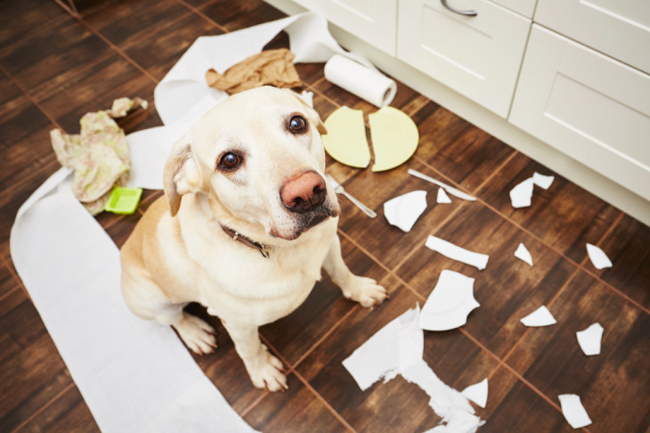 AWS: "Foi mal pessoal". Foto: Depositphotos.