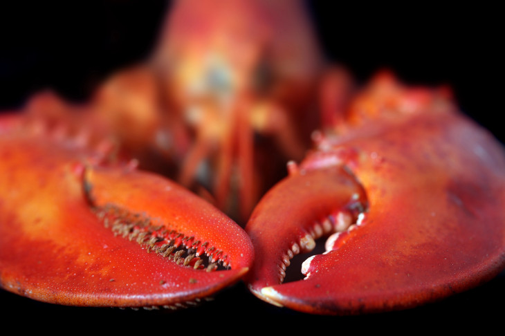 Foto: Depositphotos