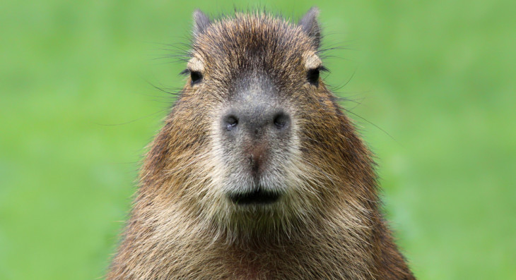 Eu sei o que você fez no verão passado. Foto: Depositphotos.