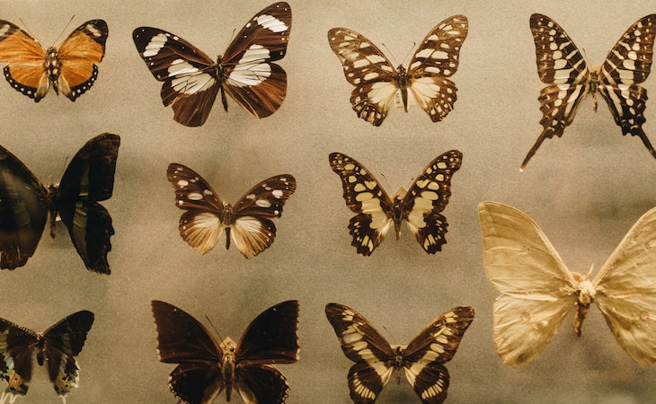 OpenText compra Micro Focus por US$ 6 bi